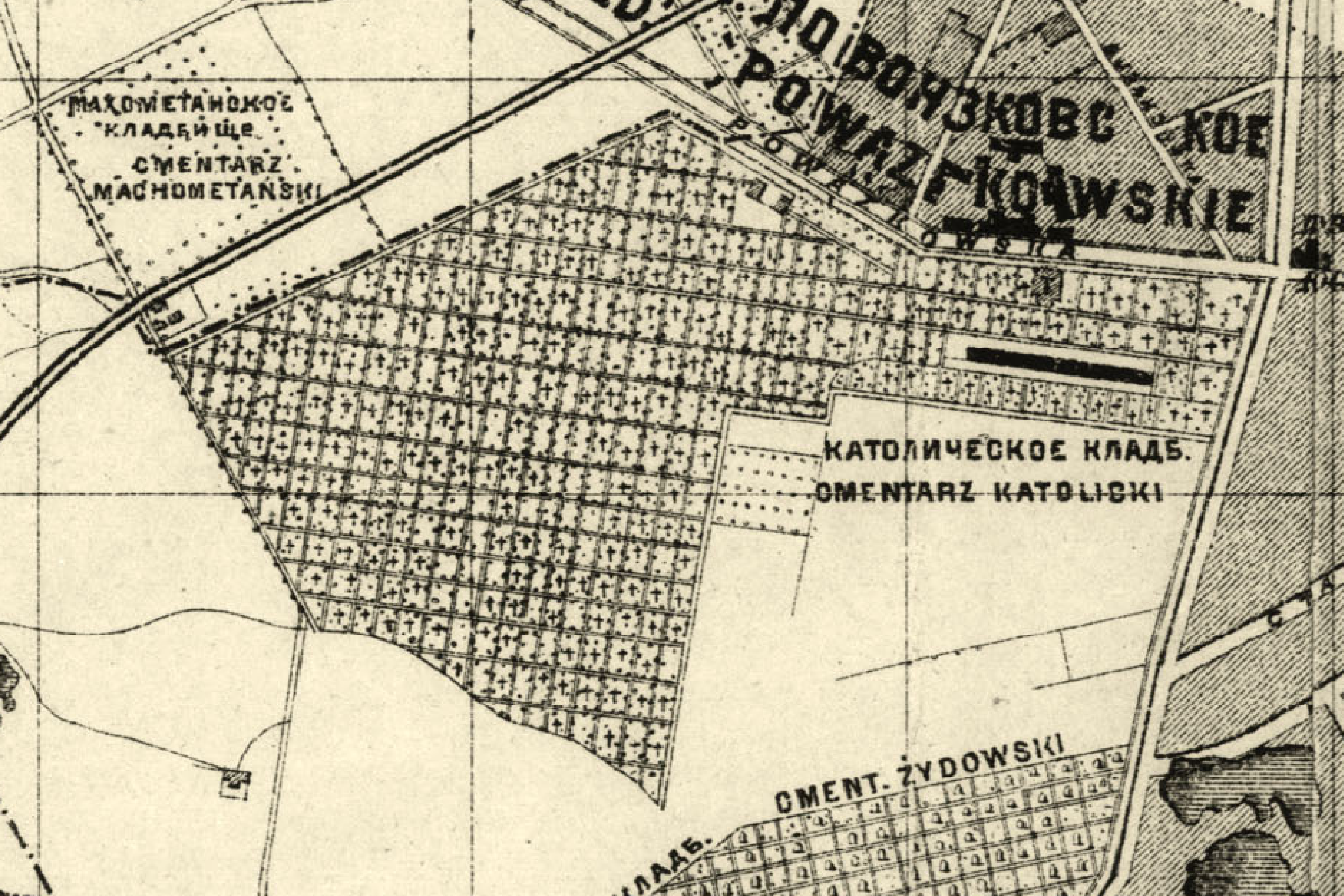 Left Image