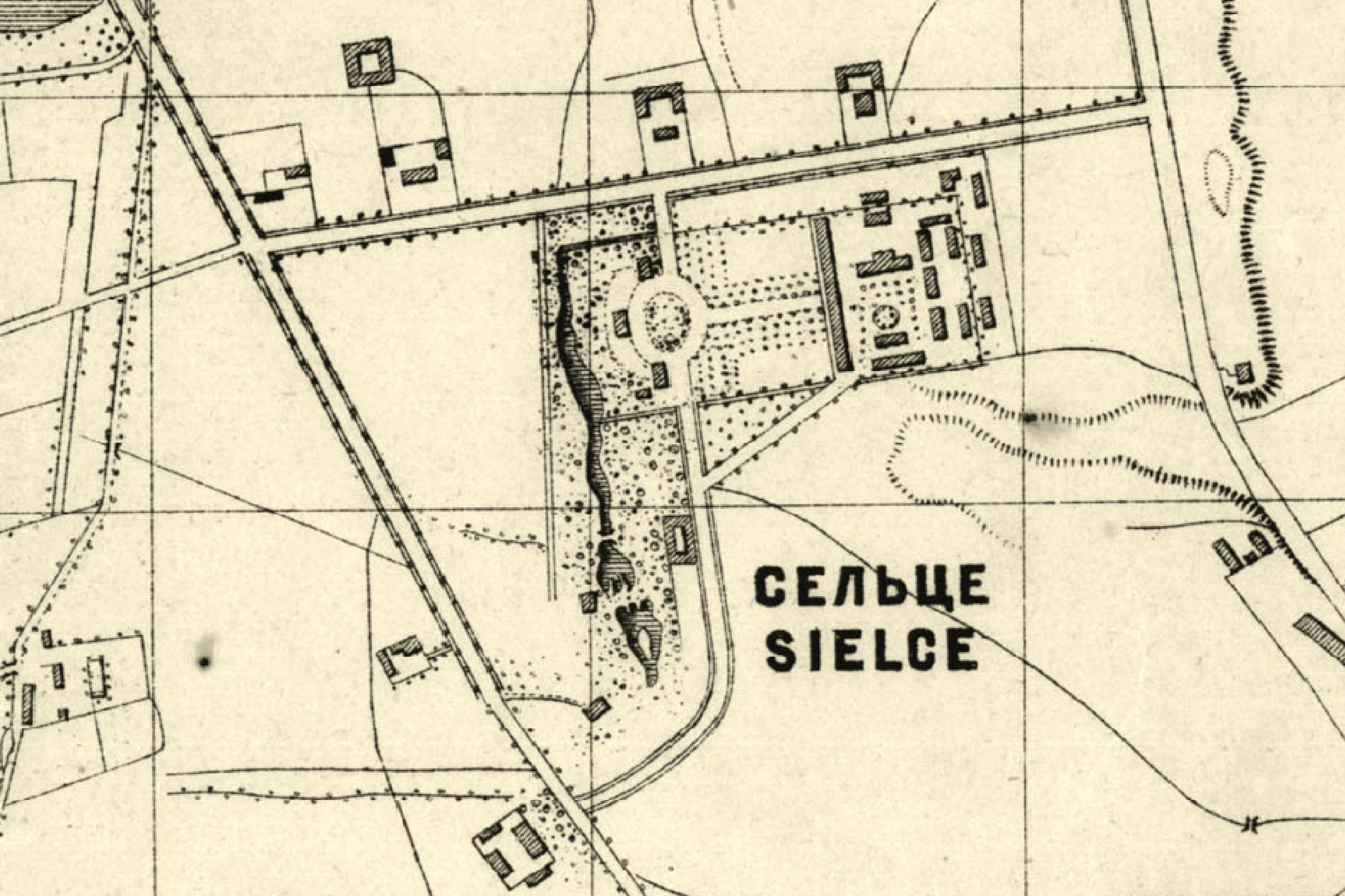 Left Image